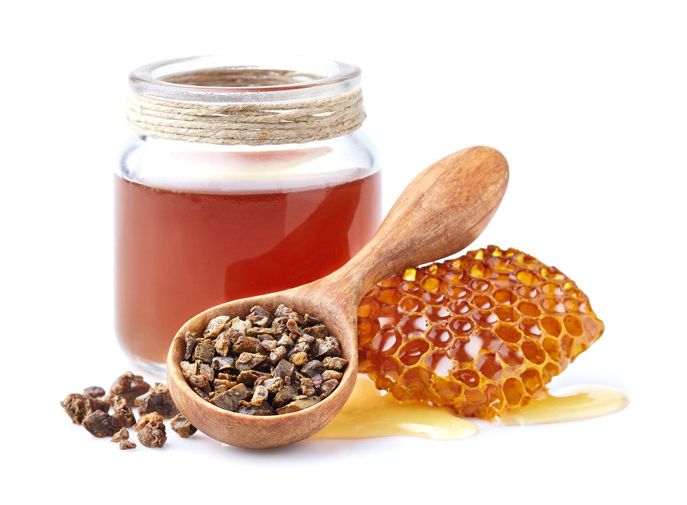 Miel de Sapin : un miel qui se distingue des autres - Miels Girard